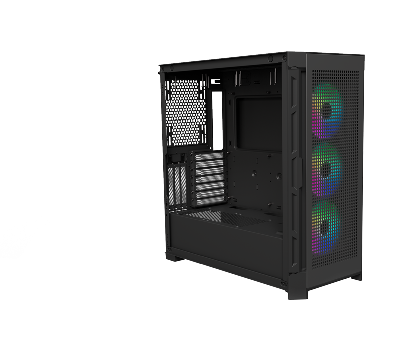 Case