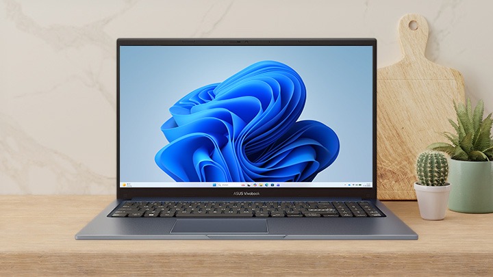 Laptops voor internet