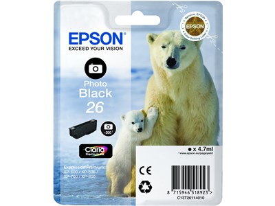 Epson T2611 - Photo Black