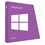 Microsoft Windows 8.1 64-bit, OEM
