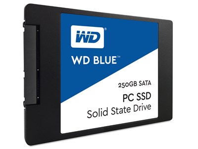 Western Digital Blue - 250 GB