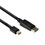 Ewent DisplayPort kabel - 2 meter